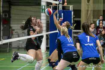 Wevoc Wellen legt titelfavoriet het zwijgen op na onwaarschijnlijke remonte - Het Belang van Limburg