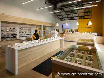 Michigan's largest cannabis retail towns reflect history, culture — and strategy - Crain's Detroit Business