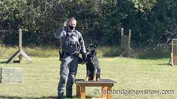 VIDEO: Lethbridge Police graduates and welcomes new K9's - Lethbridge News Now