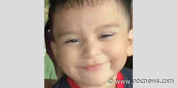 Texas toddler who disappeared from home while playing with dog found alive, sheriff confirms