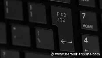 Frontignan : la mairie recrute, à vos CV - Hérault-Tribune