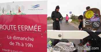 Frontignan - Mise en place d'une nouvelle piétonisation à Frontignan la Peyrade - OCCITANIE tribune