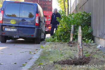 Transporter prallt in Chemnitz gegen zwei Bäume: Fahrer im Krankenhaus - TAG24