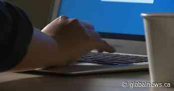 Cyber scams continue to rise in Saskatoon, police data shows - Global News
