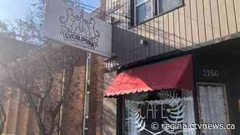 Regina cat café announces plans for expansion in Saskatoon - CTV News