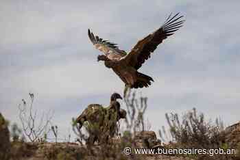 Turismo por Argentina | Noticias - buenosaires.gob.ar