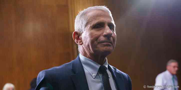 'Enjoy it': Fauci says it's safe for Americans and their children to trick-or-treat and celebrate Halloween