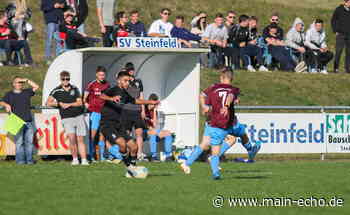 Turbulentes U19-Spiel in Steinfeld: Elfmal Gelb, drei Zeitstrafen und drei Trainer-Platzverweise - Main-Echo