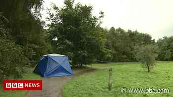 Detectives renew witness appeal over Sutton Coldfield park rape - BBC News