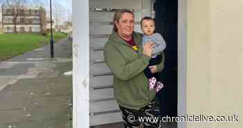 West Denton's 'Angel of the North' Zara named a national Coronavirus Hero - Chronicle Live