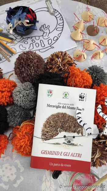 notizie da Lecco e provincia » Due eventi WWF nel fine settimana - ResegoneOnline