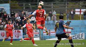 Live 24! Lecco-Padova, il giorno dopo: oggi in campo AlbinoLeffe e Südtirol, possono agganciare il Biancoscudo… - Padova Goal