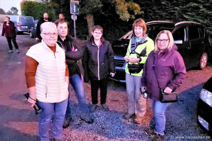 Wandelaars gewapend met zaklamp op jaarlijkse pitslampentocht