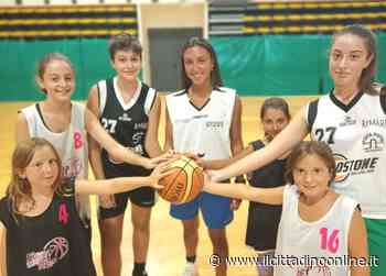 Apf Costone: esordio casalingo con la Florence - Il Cittadino Online - Il Cittadino on line