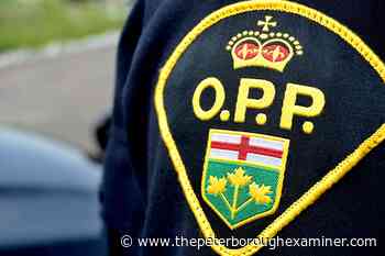 Pedestrian dead after train collides with person walking on tracks near Colborne - ThePeterboroughExaminer.com