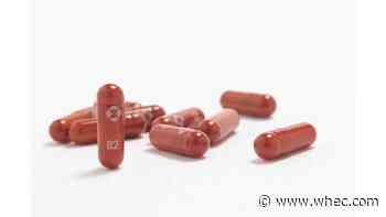 Merck asks US FDA to authorize promising anti-COVID pill