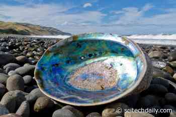 Scientists Develop New “Unbreakable Glass” Inspired by Nature – 3x Stronger, 5x More Fracture-Resistant