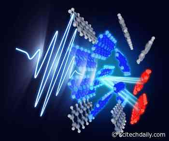Singlet Exciton Fission: Breakthrough for More Efficient Solar Cells and Light-Based Technologies
