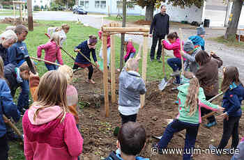 Landkreis pflanzt Weißenhorner Birne und Linde zum Tag des Baumes