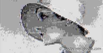 The Great Novel Of The Internet Was Published In 1925