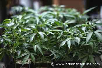 Medical marijuana panel backs rule changes - Arkansas Online