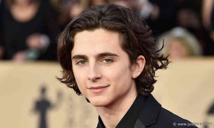 Four Other Actors Almost Played Willy Wonka Before Timothee Chalamet Landed the Role!
