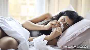 Experts warn the flu could make a comeback this winter