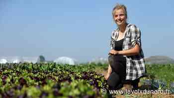 La communauté urbaine d'Arras lance un diagnostic pour son projet alimentaire territorial - La Voix du Nord