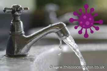 Ecoli in tap water: SES water issues new update