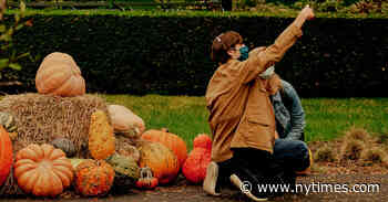 What is a Szn? And Why Does October Have So Many?