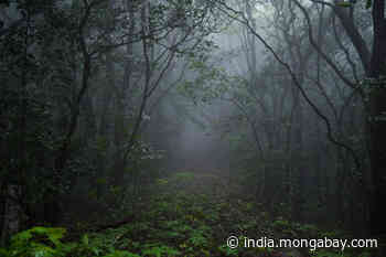 [Commentary] Mapping the potential of Community Forest Resource Rights in central India - Mongabay-India