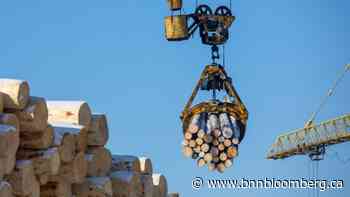 Segezha Becomes Russia's Top Forest Holder in $515 Million Deal - BNN