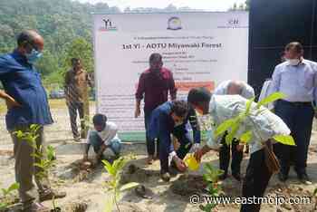 Yi Guwahati launches Miyawaki Forest Project in down town University - EastMojo