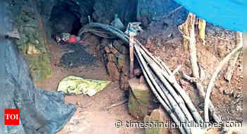 Tamil Nadu: Forest officials to check illegal goldmining in Pandalur range - Times of India