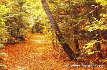 Speaking of Nature: It's time to try some forest bathing - The Recorder