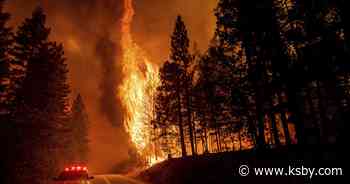 Impact of forest thinning on wildfires creates divisions - KSBY San Luis Obispo News