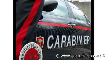 Violenta rapina a una 17enne, arrestato nel Reggiano - Gazzetta di Parma