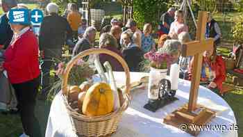Siegen: Weinlese am Silberfuchs fällt aus – zu wenig Trauben - Westfalenpost