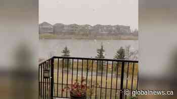 Snow fills the air in 2 Alberta cities as system passes through region