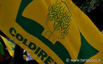 Qualità dell'aria, Coldiretti di Cuneo: "Serve chiarezza da parte della Regione" - TargatoCn.it