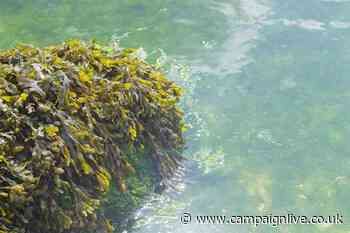 ITV and CALM tie up to produce late-night mindfulness programming