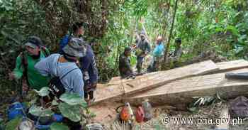 'Hot' logs, chainsaw seized in Aurora town - pna.gov.ph