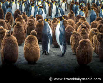 Aurora Expeditions 2022-2023 brochure features soul-captivating destinations and itineraries - Travel Daily