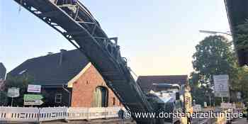 Fällungen am Straßenrand: Bäume wurden mit Säure attackiert | Raesfeld - Dorstener Zeitung