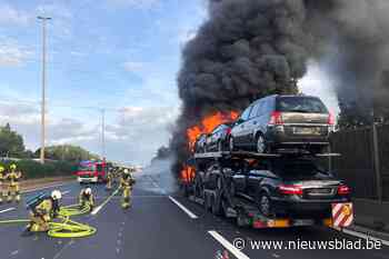 E313 richting Hasselt in volle avondspits volledig versperd door brandende vrachtwagen in Wommelgem