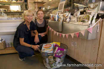 Farnham sandwich shop collecting pet food for animals evacuated from Afghanistan - Farnham Herald