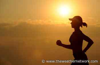 The Chicago Marathon was cancelled due to heat — 315 people taken to hospital - The Weather Network