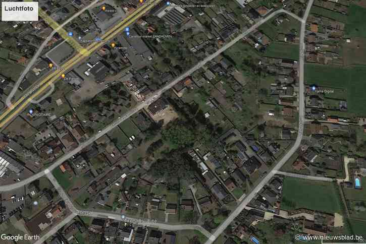 Vlaams Belang brengt bomenkap in verband met verkavelingsplannen