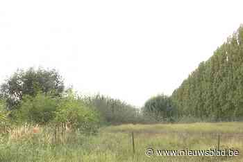 Tweehonderd bomen sneuvelen voor veiligheidsberm 3M