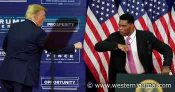 NFL Great, Trump Supporter Leads GOP Field in GA Senate Race